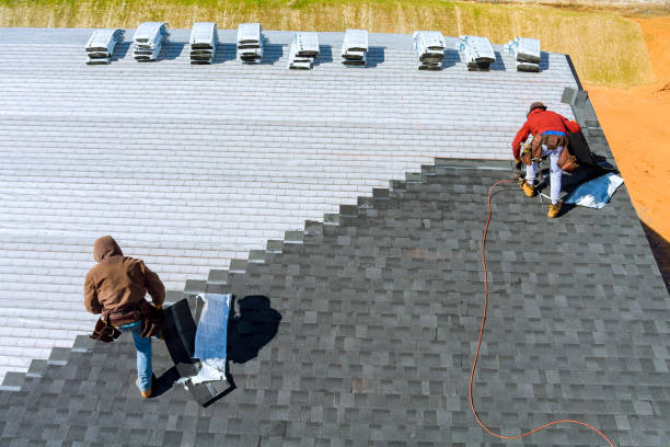 Professional Roofing Contractor in Dortches, NC